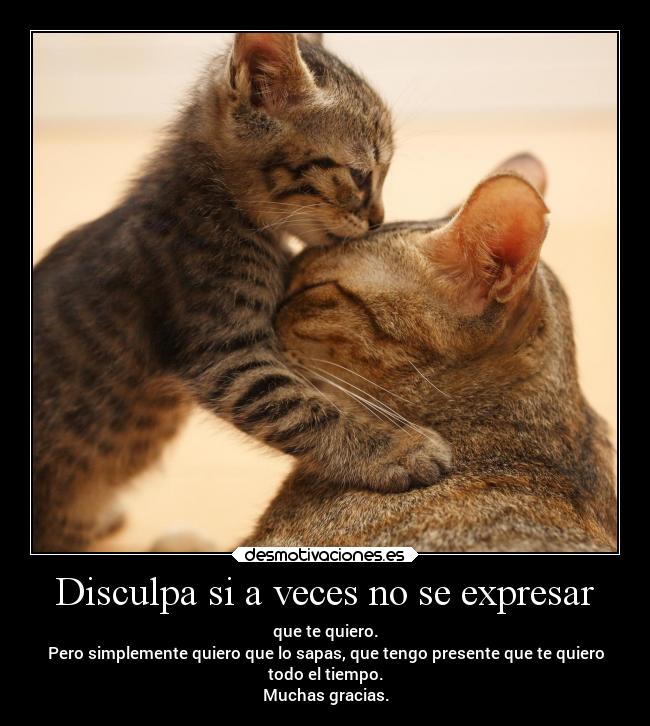 Disculpa si a veces no se expresar -