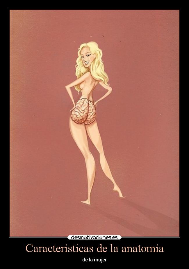 Características de la anatomía -