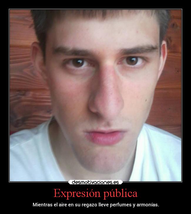 Expresión pública - Mientras el aire en su regazo lleve perfumes y armonías.