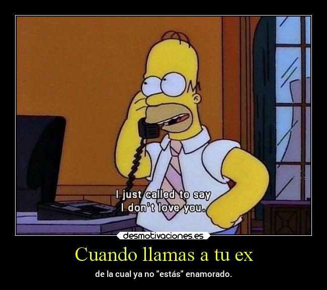 carteles simpsons humor elchicodeayer miau desmotivaciones