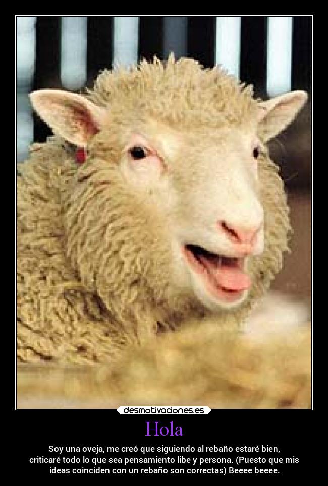 carteles sociedad libertad exprexion igual insultando sin razon desmotivaciones