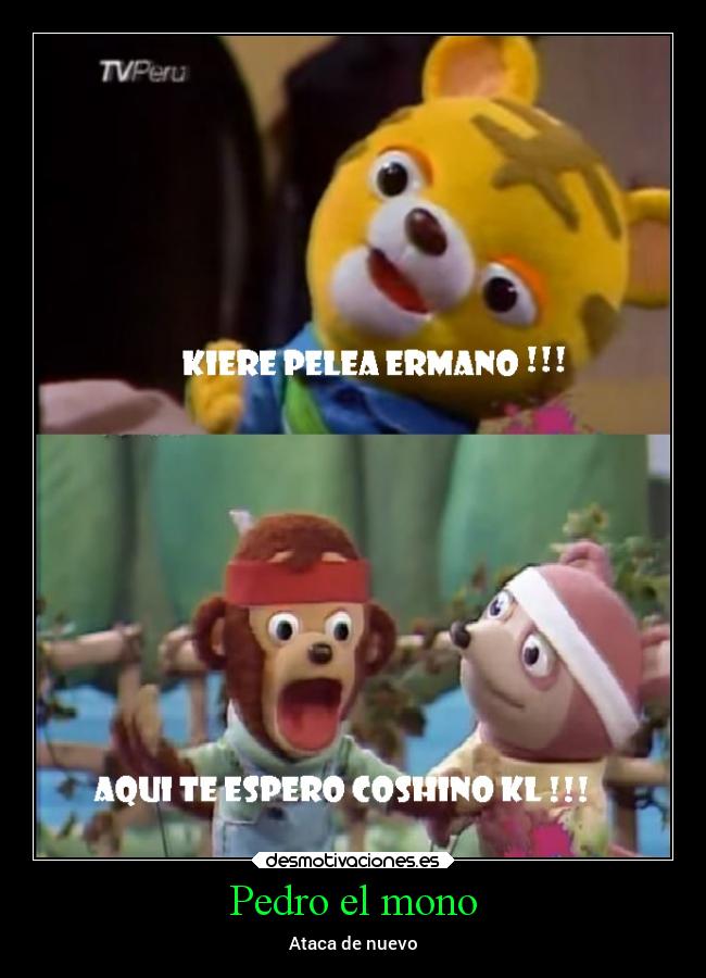 Pedro el mono - 