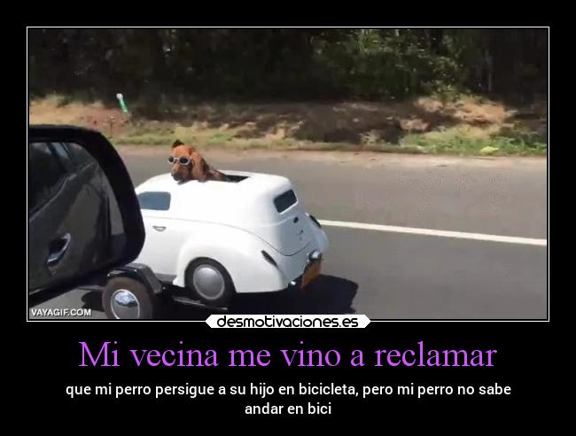 Mi vecina me vino a reclamar - que mi perro persigue a su hijo en bicicleta, pero mi perro no sabe
andar en bici