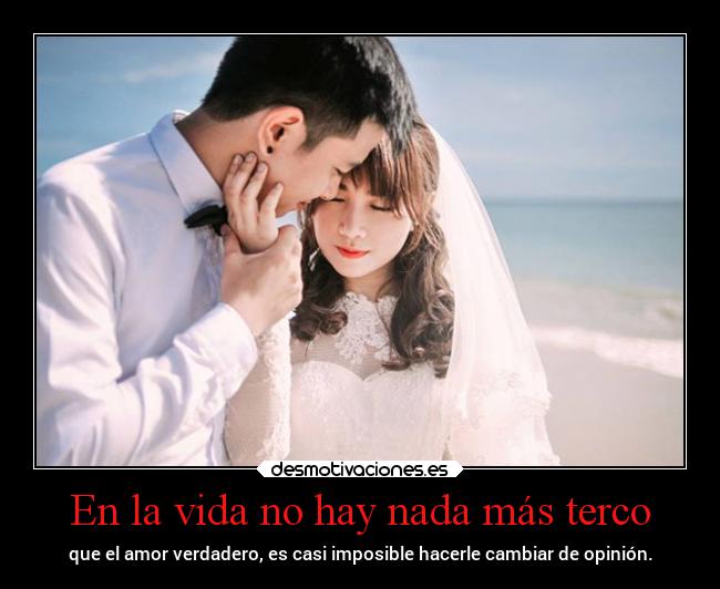 carteles vida amor pensamientos deseosdecosasimposibles desmotivaciones