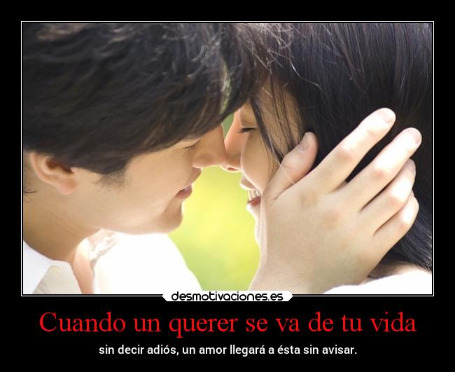 carteles vida amor vida corazon projectd desmotivaciones