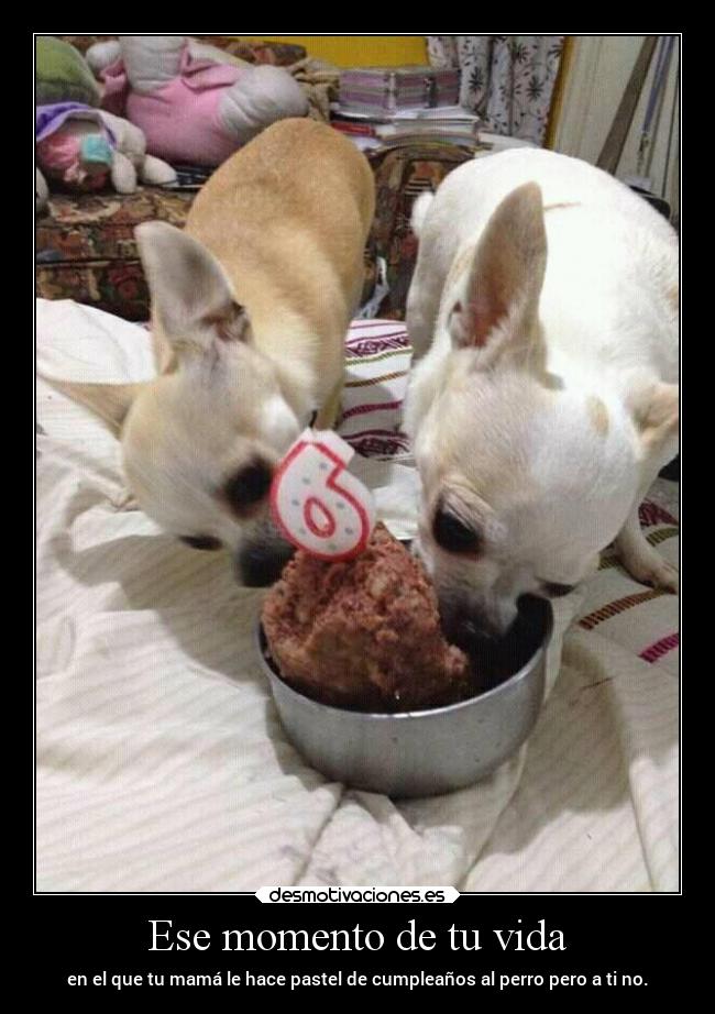 Ese momento de tu vida - en el que tu mamá le hace pastel de cumpleaños al perro pero a ti no.