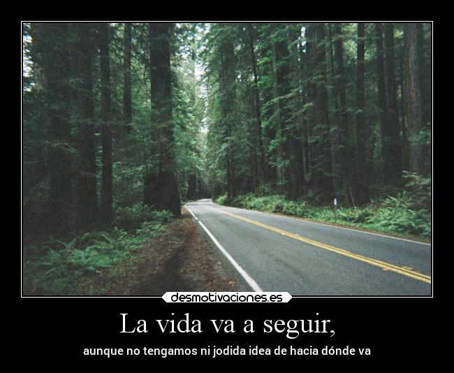 carteles vida vida bosque forest wood life live fuck alone solo way direction sad tumblr desmotivaciones