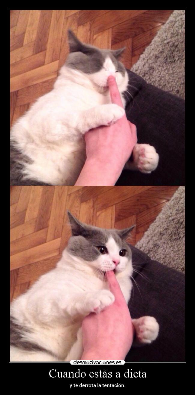 Cuando estás a dieta - 