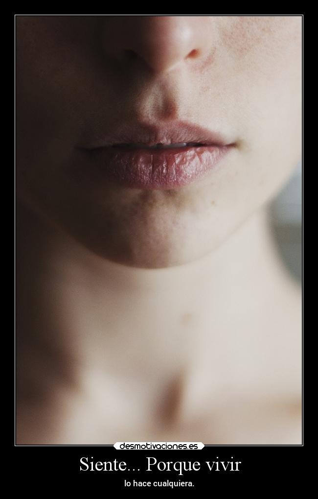 carteles vida clanloup delolvido unicorniosrosasyazules desmotivaciones