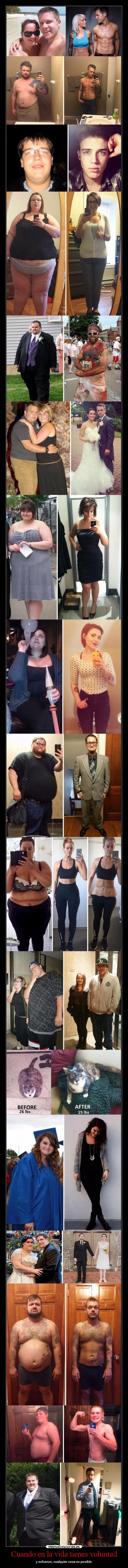 Cuando en la vida tienes voluntad - 