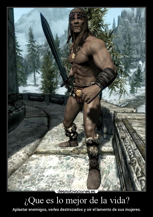 carteles vida enemigo barbaro desmotivaciones