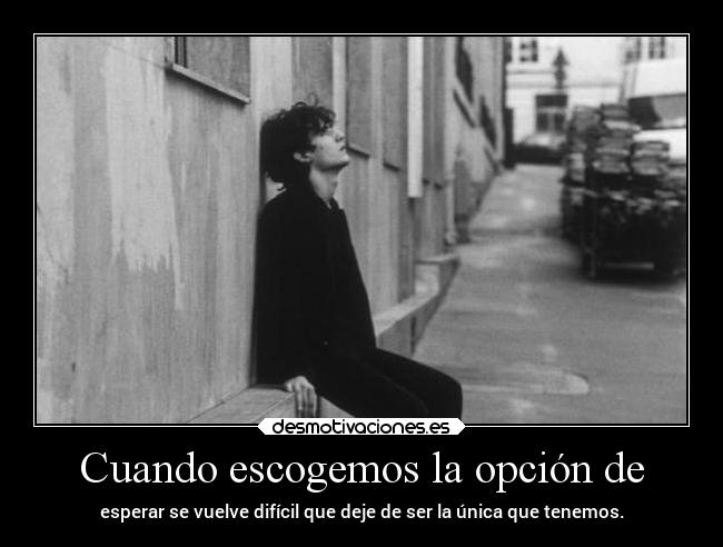 Cuando escogemos la opción de - 