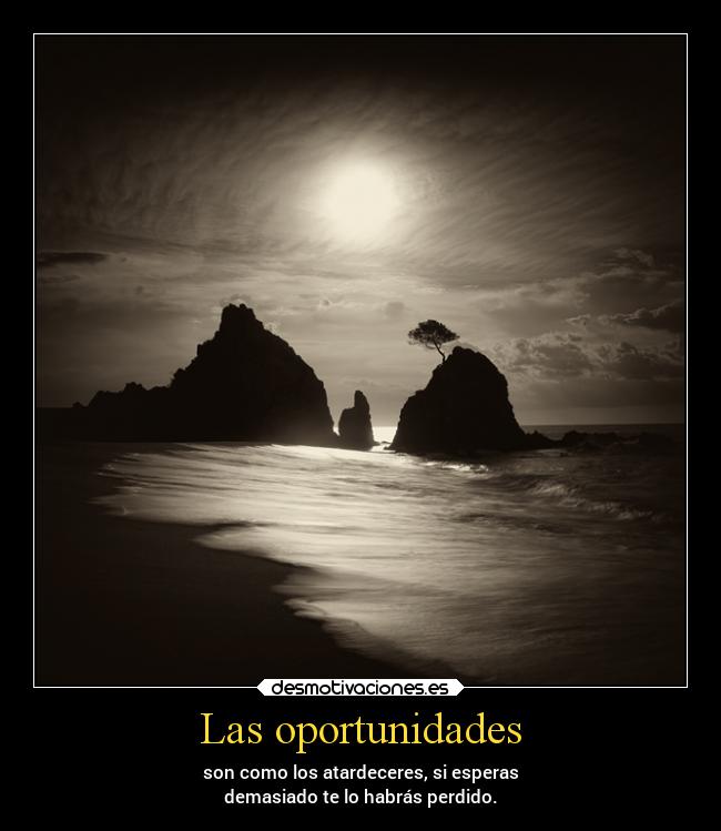 Las oportunidades - son como los atardeceres, si esperas
demasiado te lo habrás perdido.