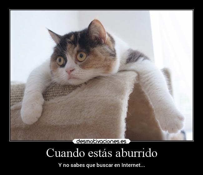 Cuando estás aburrido - Y no sabes que buscar en Internet...