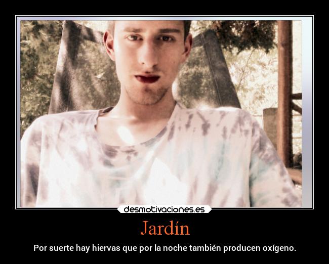 Jardín - Por suerte hay hiervas que por la noche también producen oxígeno.