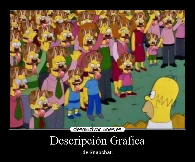 Descripción Gráfica -