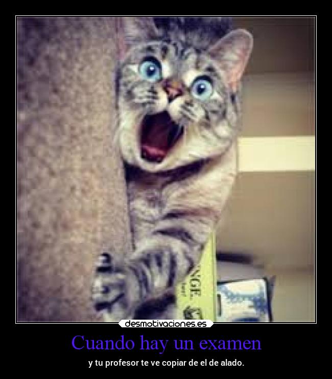 Cuando hay un examen - y tu profesor te ve copiar de el de alado.