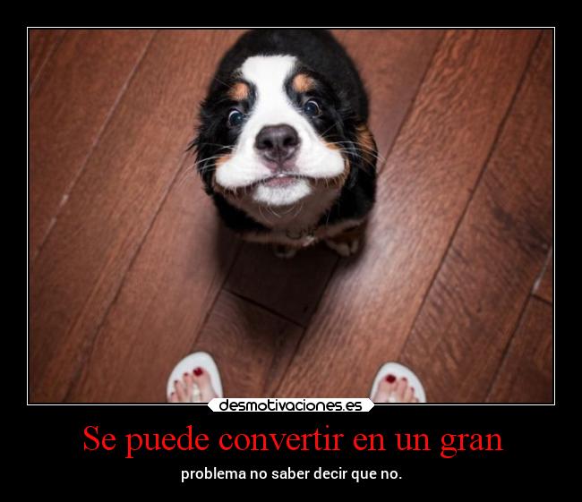 carteles vida lovemylife kanmout3liksou desmotivaciones