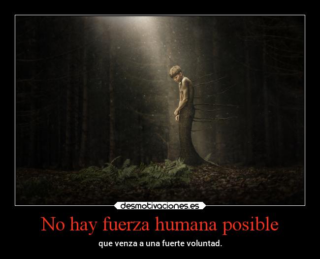 carteles vida lovemylife teadorosoufi desmotivaciones