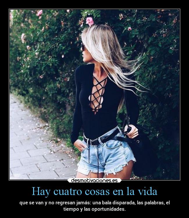 Hay cuatro cosas en la vida -