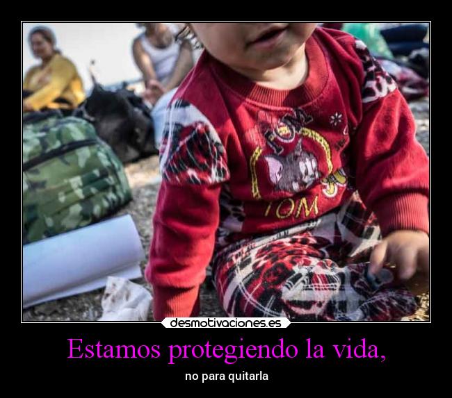 carteles vida vida proteger killerfrases desmotivaciones