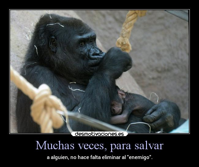 carteles vida putos desmotivaciones