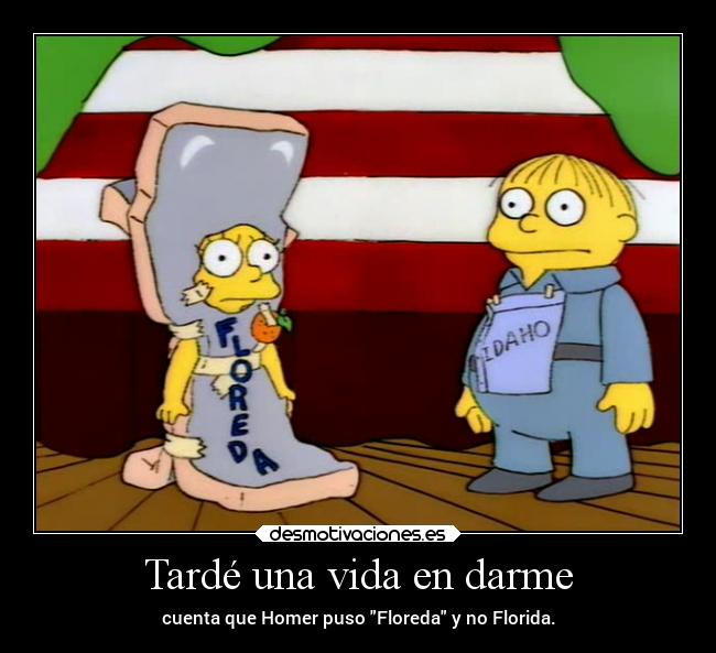 Tardé una vida en darme -