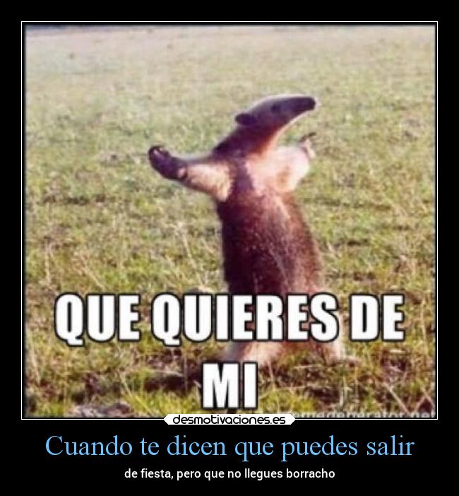 Cuando te dicen que puedes salir - de fiesta, pero que no llegues borracho