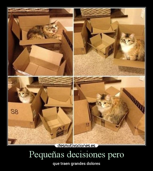 Pequeñas decisiones pero - que traen grandes dolores