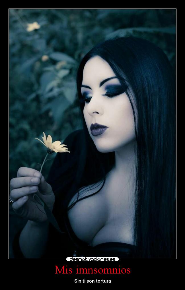 carteles alegria politica amor desmotivaciones