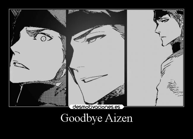Goodbye Aizen -