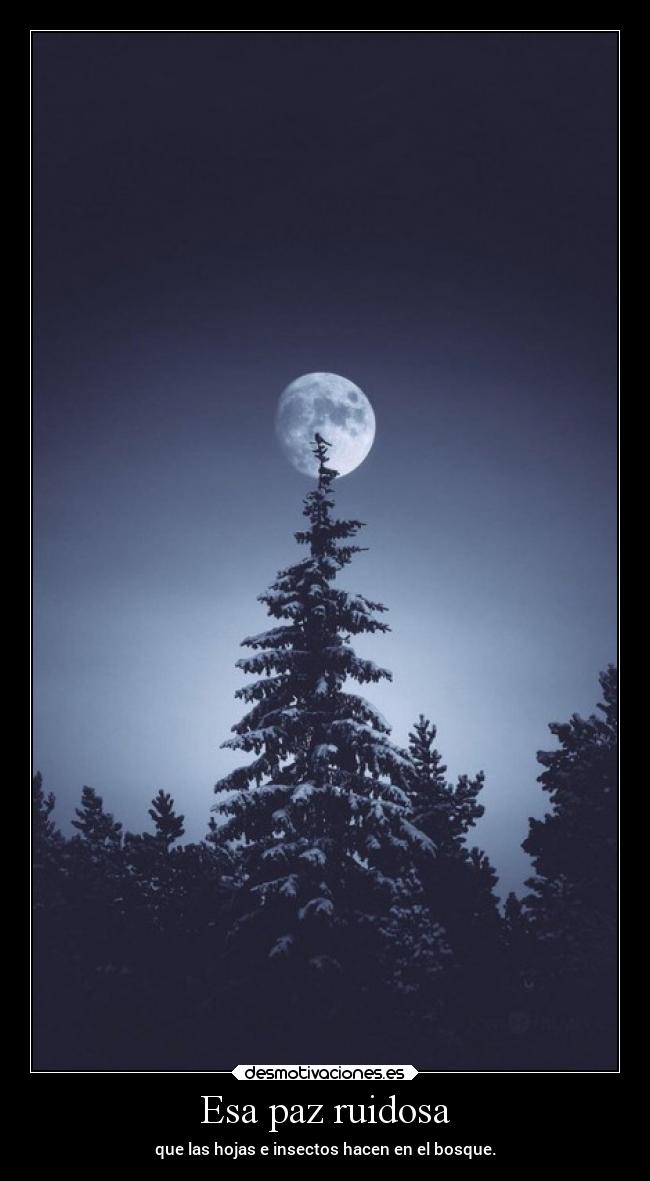 Esa paz ruidosa - que las hojas e insectos hacen en el bosque.