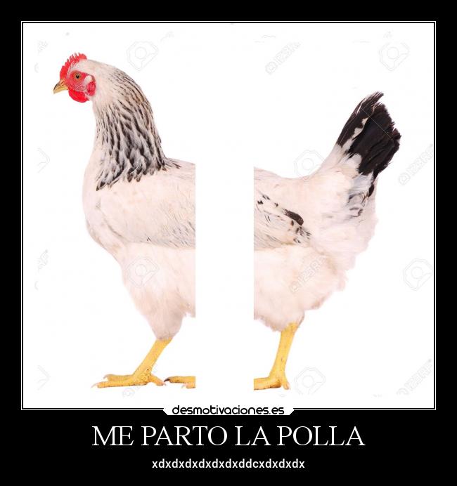 ME PARTO LA POLLA - xdxdxdxdxdxdxddcxdxdxdx