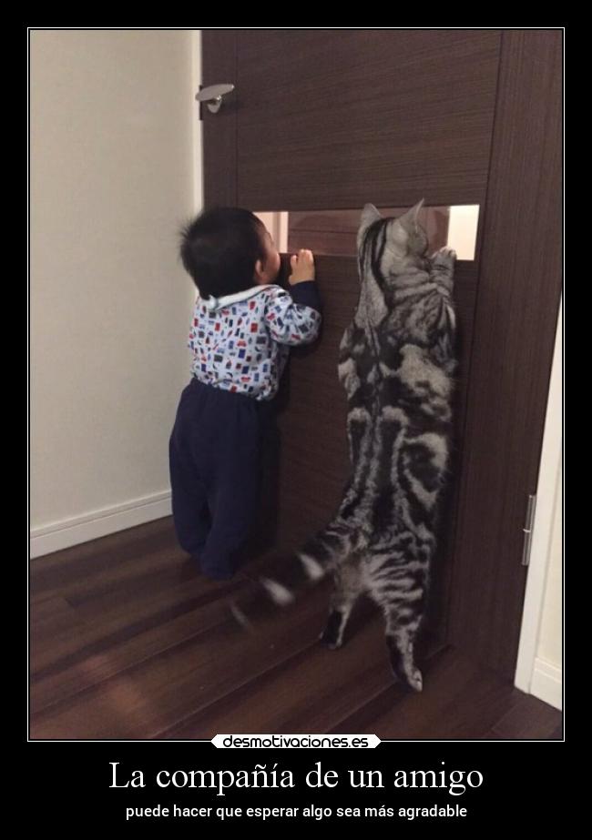 La compañía de un amigo - 