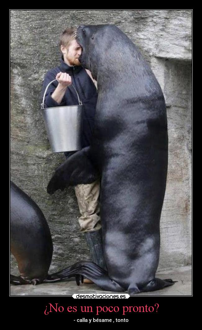 ¿No es un poco pronto? - - calla y bésame , tonto