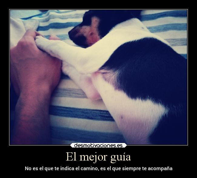 El mejor guía - No es el que te indica el camino, es el que siempre te acompaña