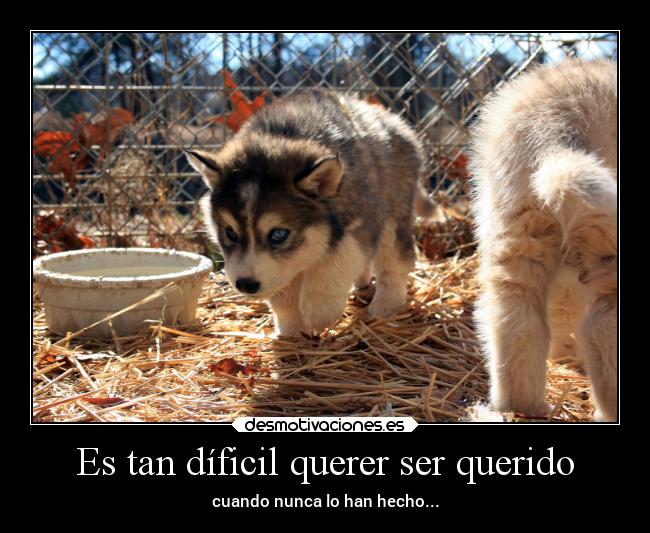 carteles amor desmotivaciones