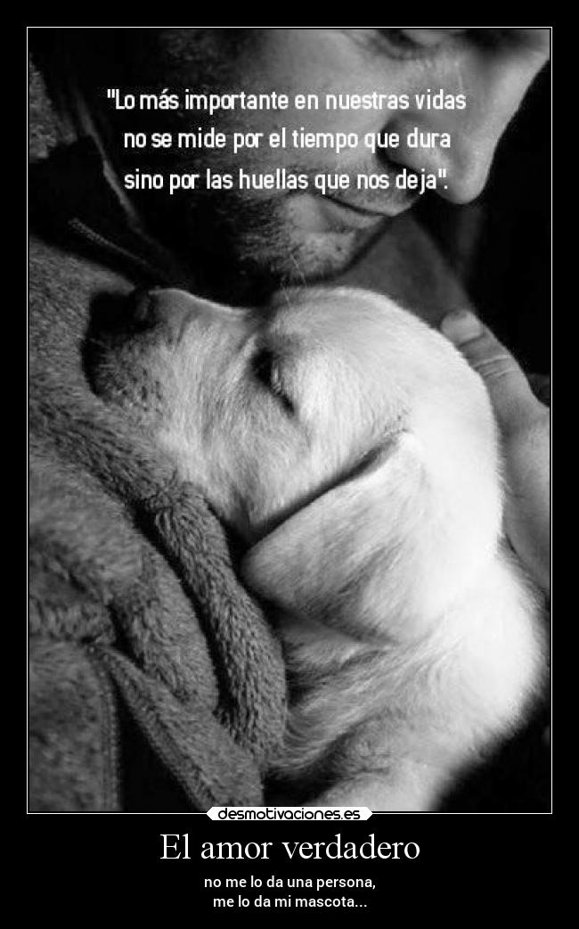 El amor verdadero - 