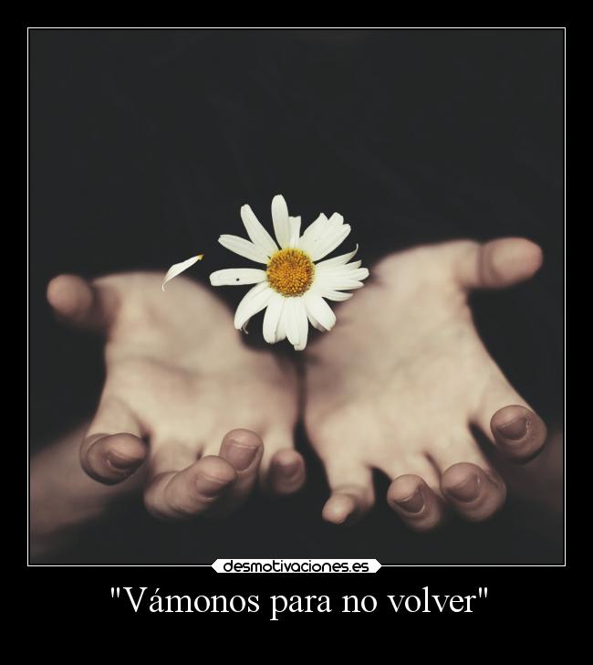 Vámonos para no volver -