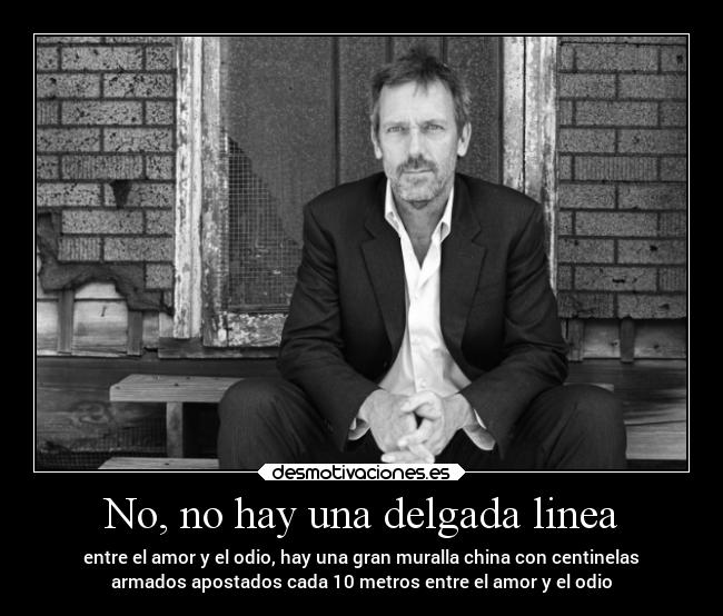 carteles amor odio desmotivaciones