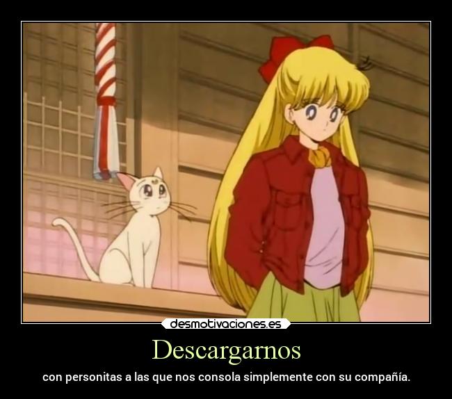 carteles animales amor amigos anime gatos desmotivaciones