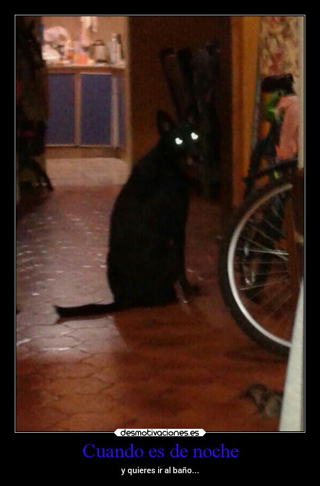 Cuando es de noche - y quieres ir al baño...