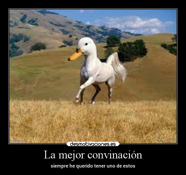 La mejor convinación - siempre he querido tener uno de estos