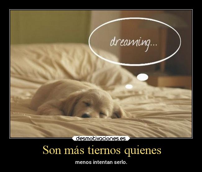 carteles animales tierno desmotivaciones