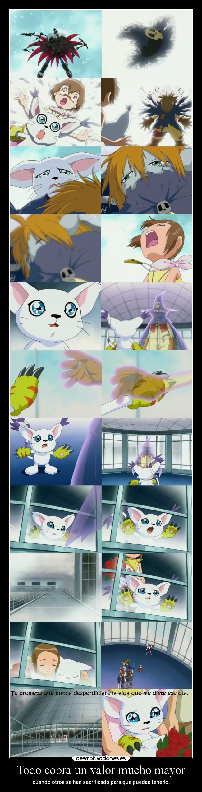 Todo cobra un valor mucho mayor -