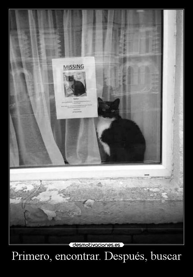 carteles bogota buscar encontrar perdido paranoia alcazar labuenavibra demoquedada desmotivaciones