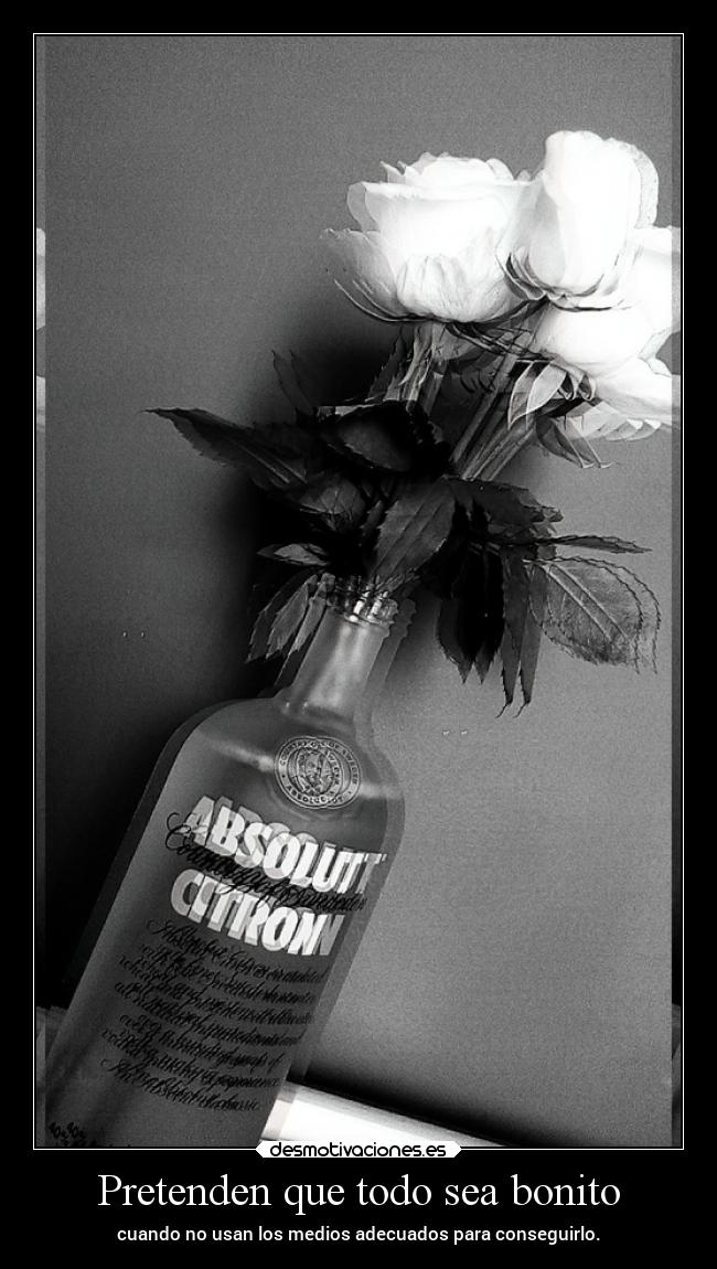 Pretenden que todo sea bonito - cuando no usan los medios adecuados para conseguirlo.