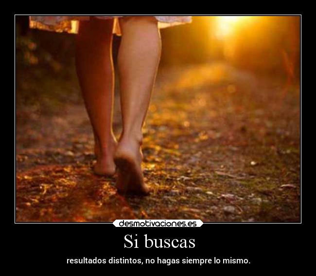 Si buscas -