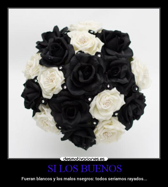 SI LOS BUENOS - Fueran blancos y los malos nsegros: todos seriamos rayados...