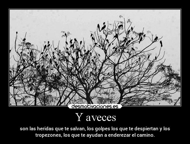 Y aveces - son las heridas que te salvan, los golpes los que te despiertan y los
tropezones, los que te ayudan a enderezar el camino.
